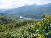 Grape growing areas - wine regions in Georgia